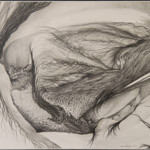 Eye of Womb