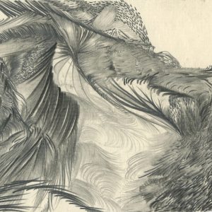 Neural Branching
