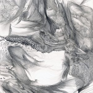 Uprooted